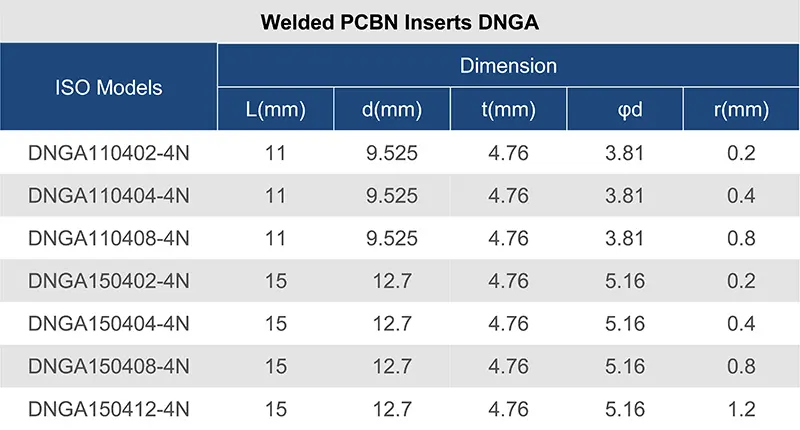 DNGA-11.webp