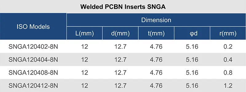 SNGA -11.webp
