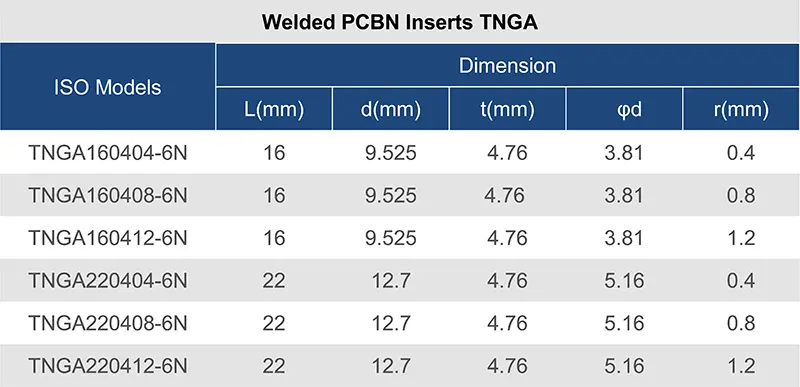 TNGA-11.webp